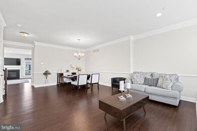 301 Murray Ln, Media, PA 19063 - photo 3