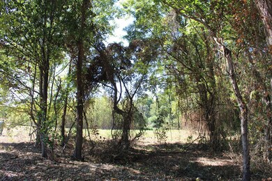 TBD Deerfield Ln, New Boston, TX 75570 - photo 6