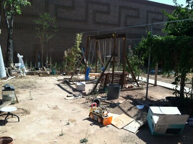 Backyard1