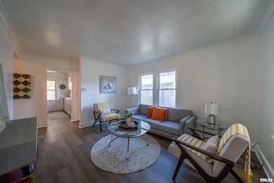 729 E Seneca Place, Peoria, IL 61603 - photo 4