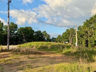 7958 Mc 6061, Flippin, AR 72634 - photo 3