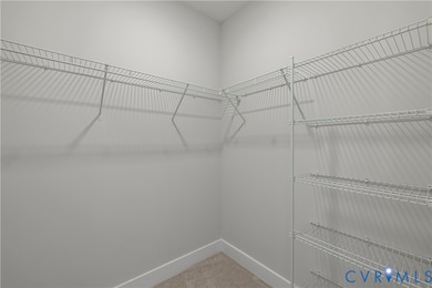 10530 Stony Bluff Dr unit 103, Ashland, VA 23005 - photo 7