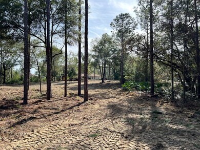 Lot 103 SW 60th Lane Rd, Ocala, FL 34481 - photo 4