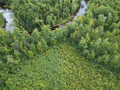 8+ Acres On Thornapple River, Ladysmith, WI 54848 - photo 5