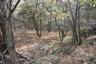 0 Gladdice Hwy unit RTC3042612, Gainesboro, TN 38562 - photo 5