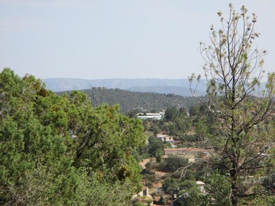 Photo_5