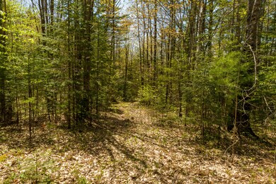 Old Road