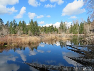 0 Wayne Rd W unit 1740283, Seabeck, WA 98380 - photo 4