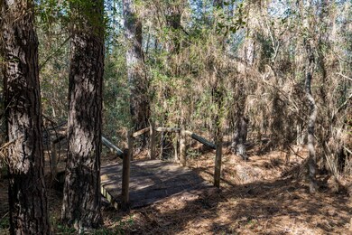 1011 Hunters Creek Way, Hockley, TX 77447 - photo 5