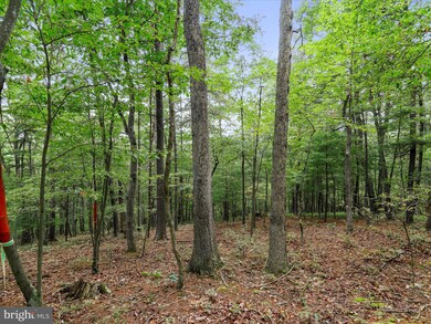 0 Somers Ln, Berkeley Springs, WV 25411 - photo 6