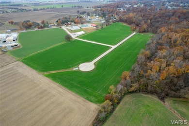 340 Bertha E Dumey Dr, Benton, MO 63736 - photo 4