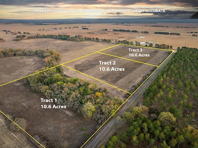 003 An County Road 117, Elkhart, TX 75839 - photo 7