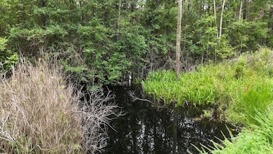 0 Giles Rd unit LotWP002 24182710, Linden, NC 28356 - photo 5