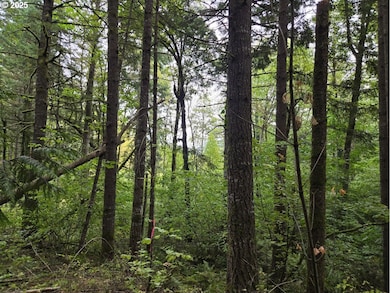 1225 SW Ryan Allen Rd, Stevenson, WA 98648 - photo 6