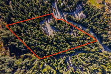 Aerial above
