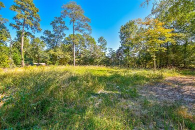 2423 Hickory Hollow Ln, Spring, TX 77386 - photo 3