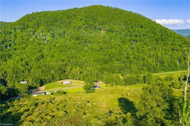 4690 Three Top Rd, Creston, NC 28615 - photo 4