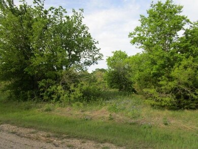 12019 Trailwood Dr, Whitney, TX 76692 - photo 3