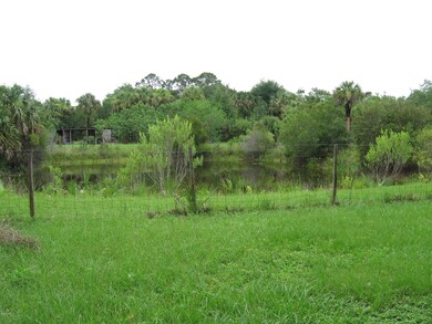 Pond