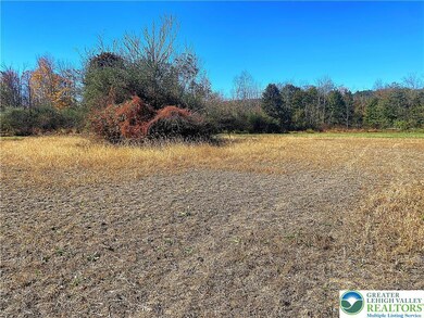 4036 Allemaengel Rd, New Tripoli, PA 18066 - photo 3