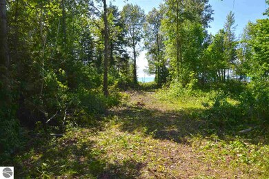 0 Rivershore Dr, Elk Rapids, MI 49629 - photo 2