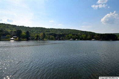 2002 White Elephant Rd, Grant, AL 35747 - photo 5