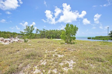 Almost 3/4 Acre