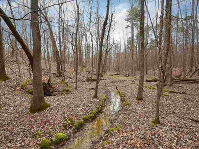 10810 Raleigh Lagrange Rd E, Eads, TN 38028 - photo 4