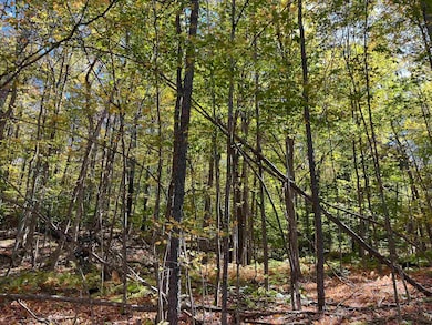 0 Leonard Rd, Pomfret, VT 05068 - photo 3