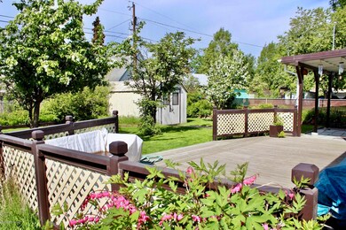 Beautiful back yard