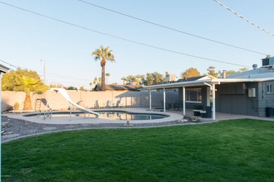 Backyard 1