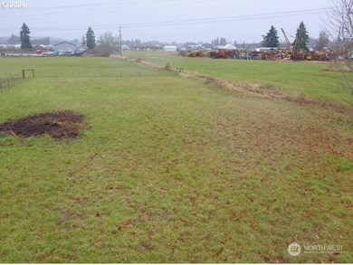 0 Hamilton Rd N unit NWM2206244, Chehalis, WA 98532 - photo 4