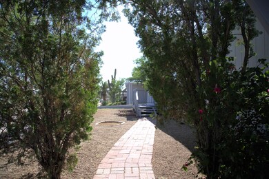 IMG_3697 (2)
