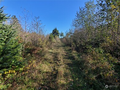 36602 Stackpole Rd, Oysterville, WA 98641 - photo 6
