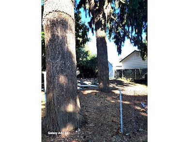 10206 N Tyler Ave, Portland, OR 97203 - photo 6