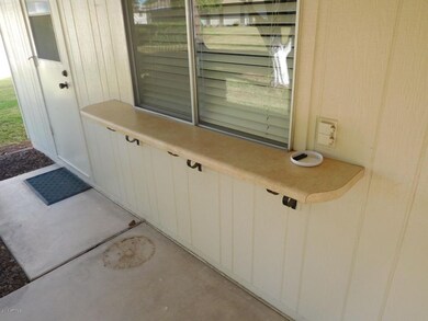 Pass Through Window at Patio