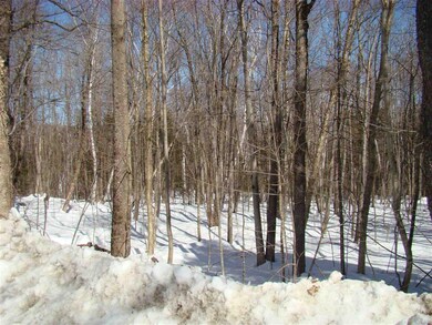 0 Shippee Rd, Readsboro, VT 05350 - photo 2