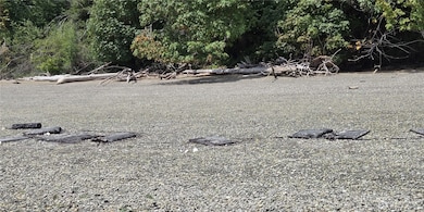 14516 45th St SW unit 10, Home, WA 98349 - photo 5