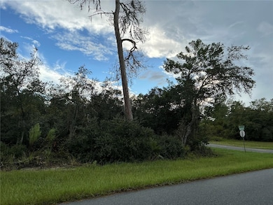 0 SW 178th St, Ocala, FL 34473 - photo 3