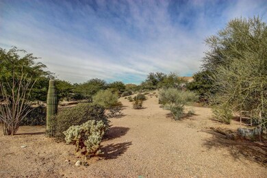 Knoll (5)