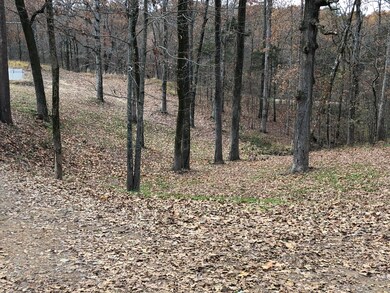 HWY 51 land