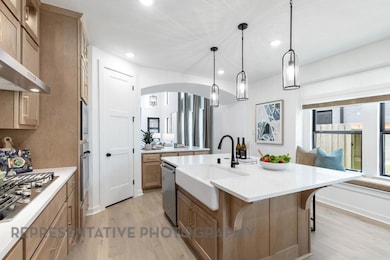 353 Blue Summit Bend, Georgetown, TX 78628 - photo 6