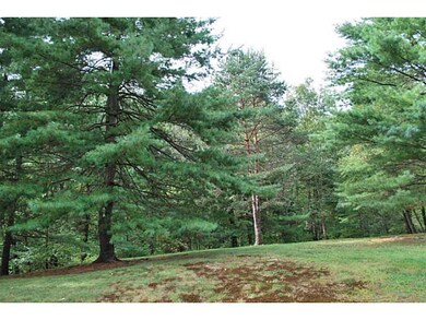Yard/Garden.