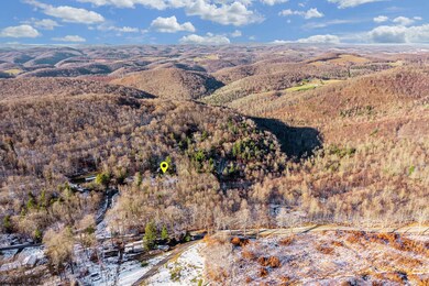 1012 Cannon Settlement Rd, Parsons, WV 26287 - photo 6