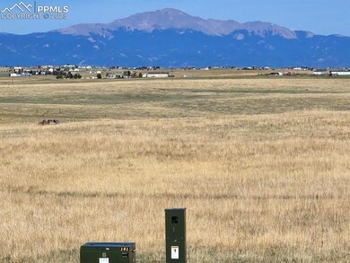 3680 Slocum Rd, Peyton, CO 80831 - photo 3