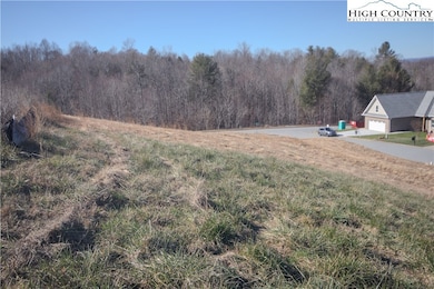 405 Whitmore St SE, Lenoir, NC 28645 - photo 3