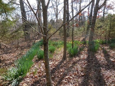 3.35 AC S Highway 71, Winslow, AR 72959 - photo 4