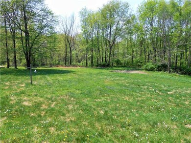 Yard/Garden.