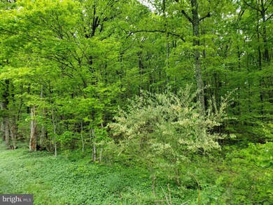 186 Haven Ln, Warfordsburg, PA 17267 - photo 2