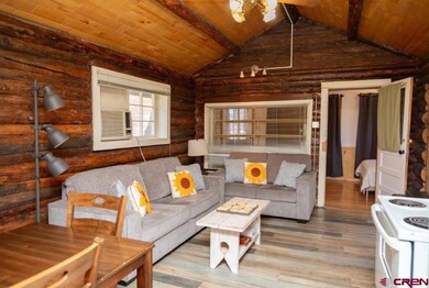 289 S Main St, Creede, CO 81130 - photo 3